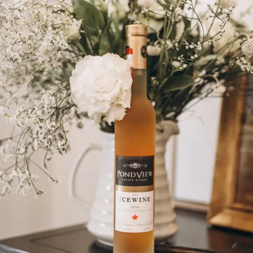 Premium Cellar Gift